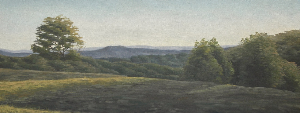 The View in Early Summer