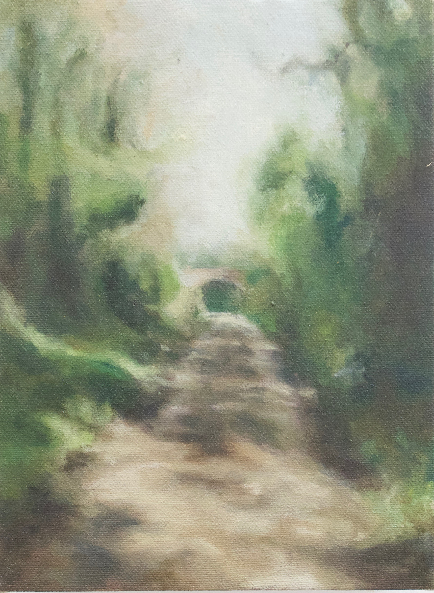 Dappled Light Disrupting My Journey