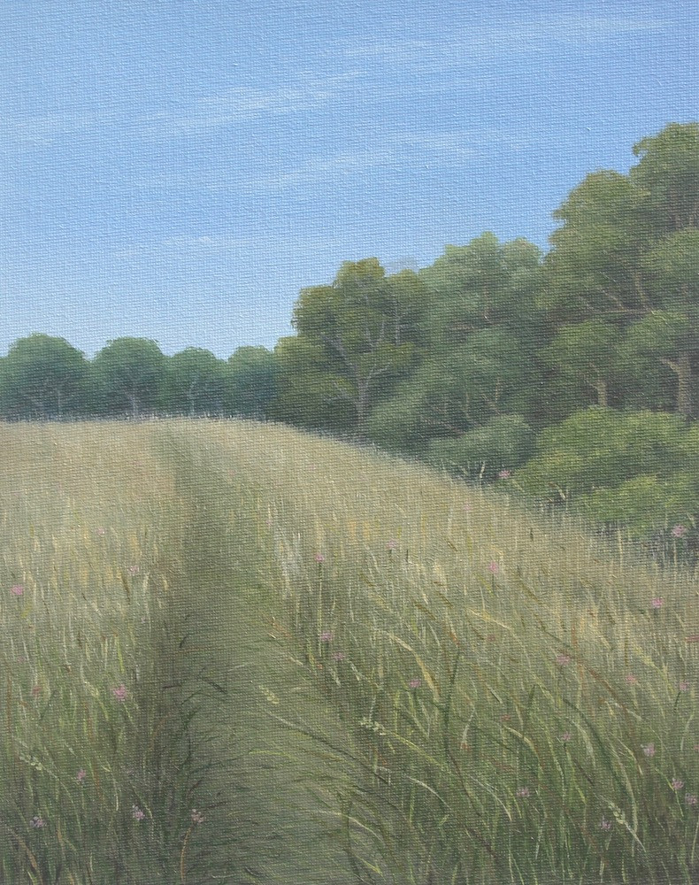 Dry Summer Meadow
