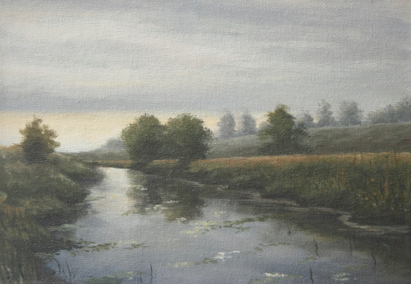 River Rother Study 2