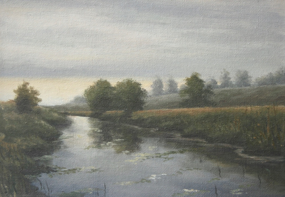River Rother Study 2