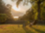 Villa Rossa 70-DSC02628.jpg