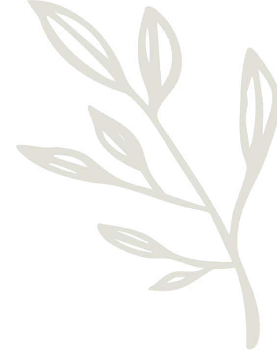Illustration of a branch with leaves