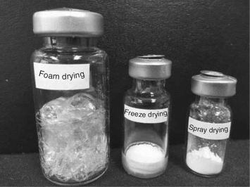 Freeze Drying Alternatives