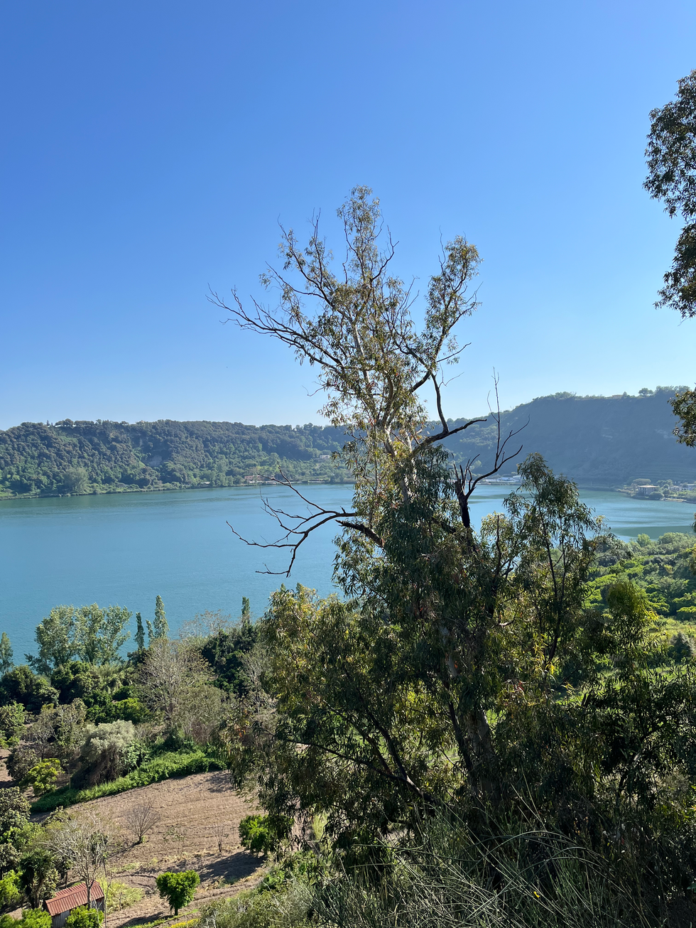 Lago D'Averno
Campi Flegrei Pozzuoli