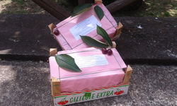 confezione regalo
