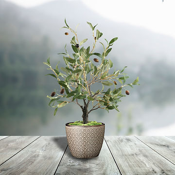 Olive Table Tree.jpg