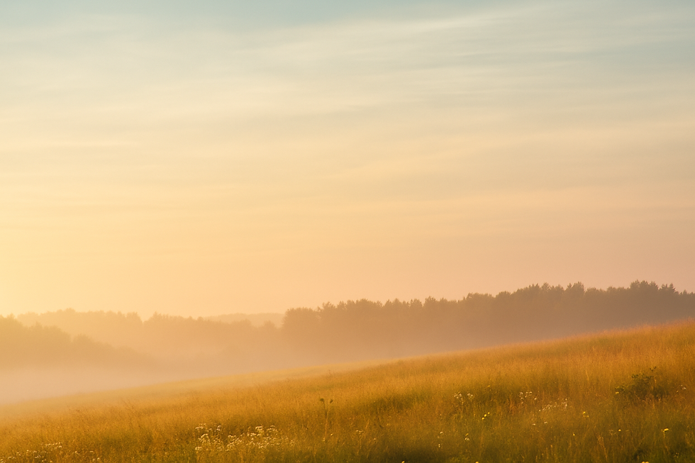 F7BA7A72-910D-41A0-996E-AD830D72D459.PNG
