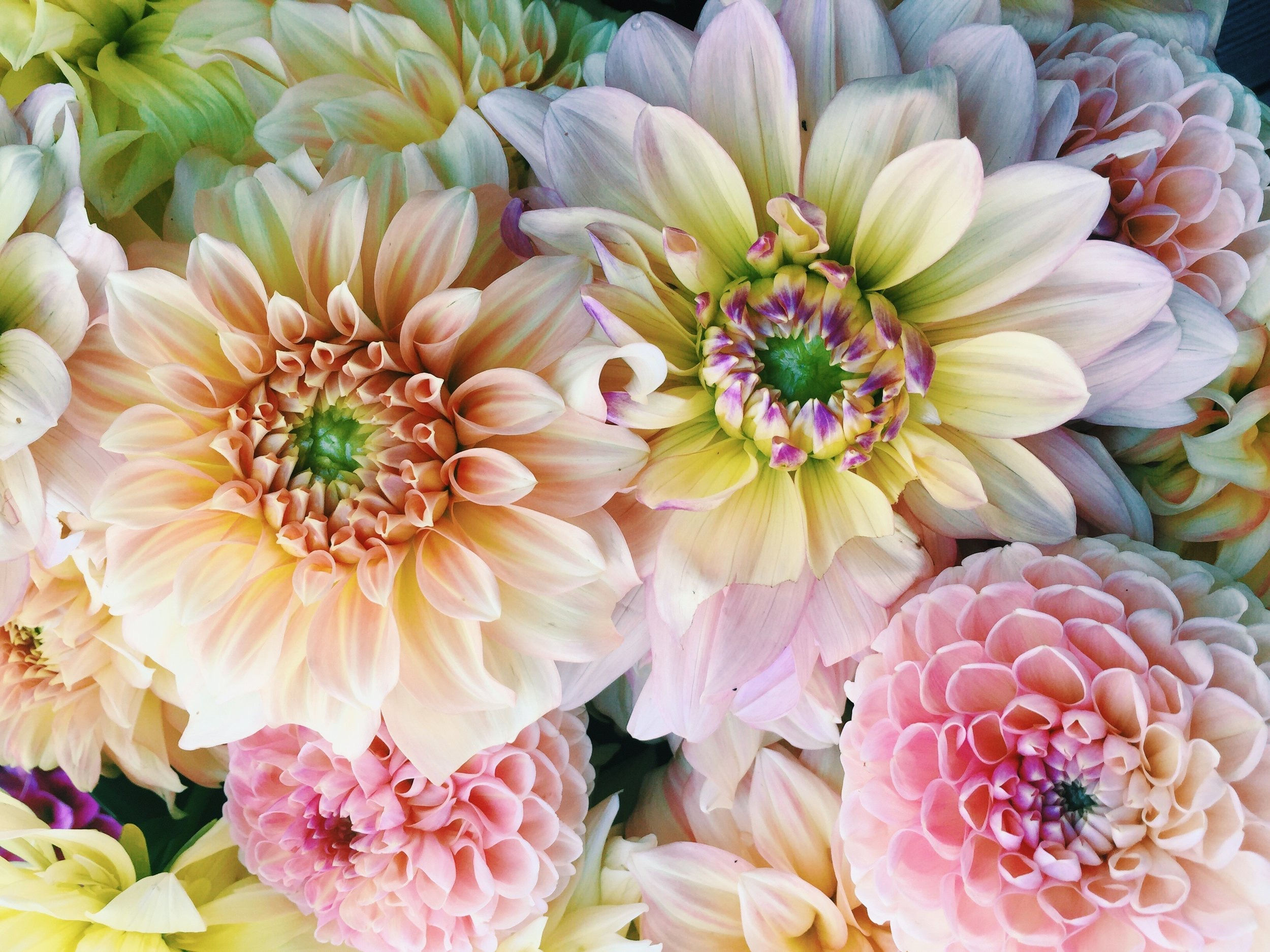 Arrangement of the Month