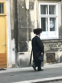 La viena judía