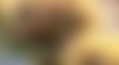 La culture du riz, une possibilité en milieu paysan.