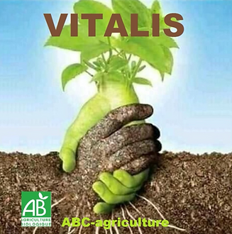 Vitalis (2) copie_edited_edited_edited.png