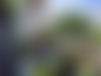 Berso recebe alunos de Engenharia Ambiental do IFPE 