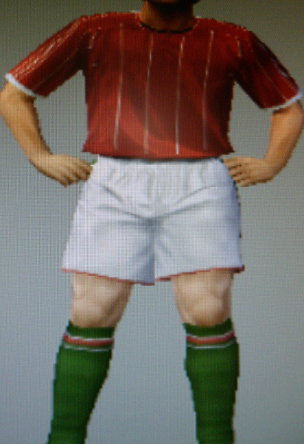 Liverpool United FFC team colours