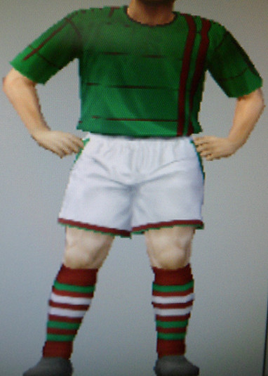 Leicester Forest FFC team colours