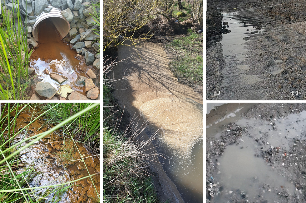 Water in the surrounding areas of the quarry. (Image: Mark Ollis)