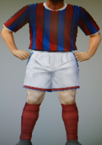 Sheffield Wanderers FFC team colours