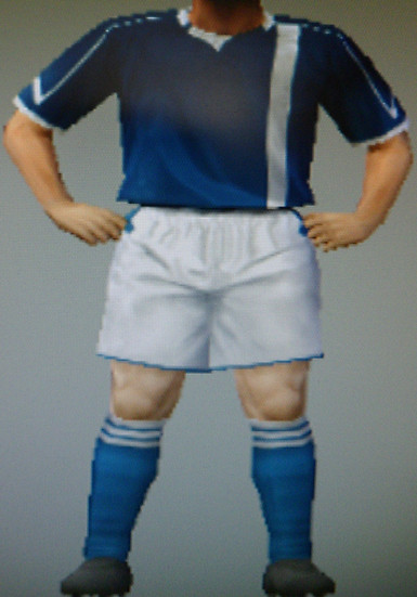 Reading Rovers FFC team colours