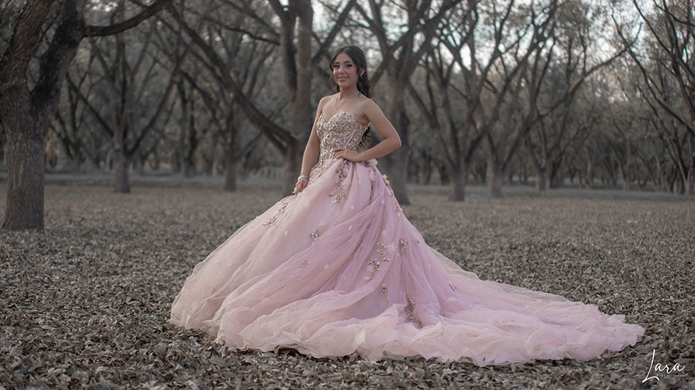 Belleza que ilumina la naturaleza