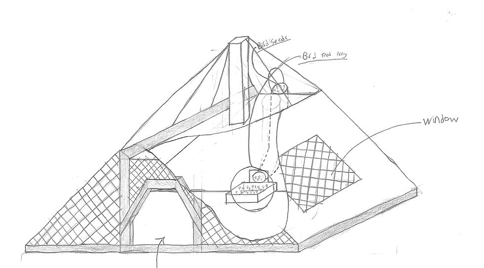 Screen Shot 2017-05-22 at 11.45.48 am