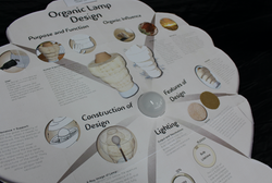 Year 12 Lamp Presentation