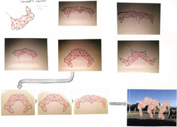 Callum McMullan 2015
