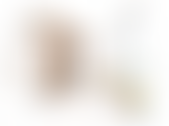 Mayoral walk through