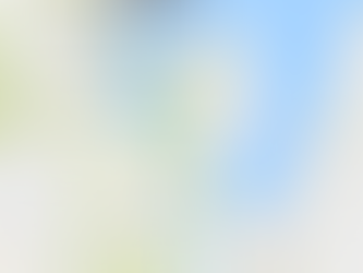 12DVC Trip to Wellington