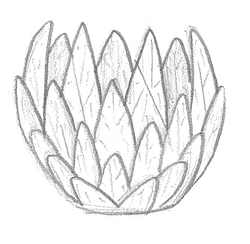 Lamp Ideation - Jarred