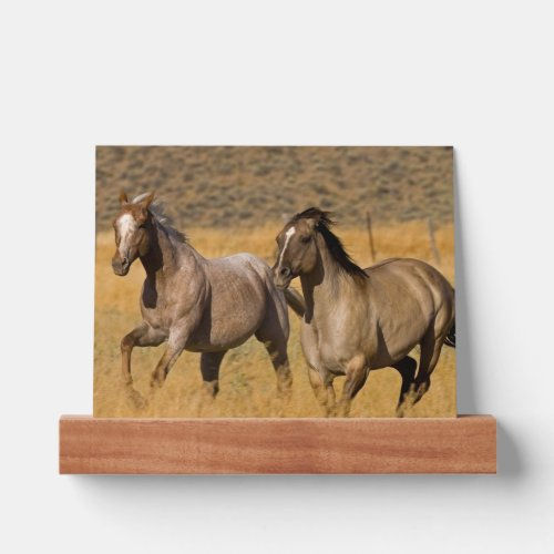 Best Deals! Ranch Living at The Ponderosa Ranch Picture Ledge