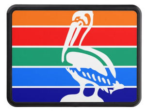 Best Price! St. Petersburg (Florida) city flag Hitch Cover