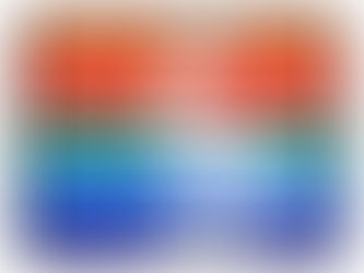 Best Price! St. Petersburg (Florida) city flag Hitch Cover