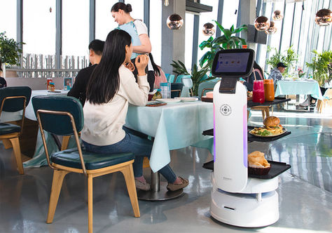 ServeBot: Exploring its Swift, Agile, and Space-Saving Design