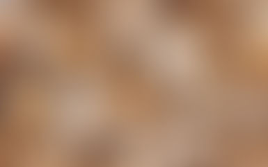 Embaré ignora pandemia e cresceu 43% em 2021