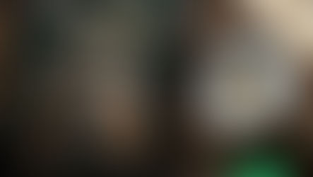 Cemig combate “gatos” sugerindo adotar um gato