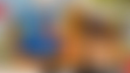 TEM MÍDIA BRASIL. Nasce uma nova empresa de mídia nacional