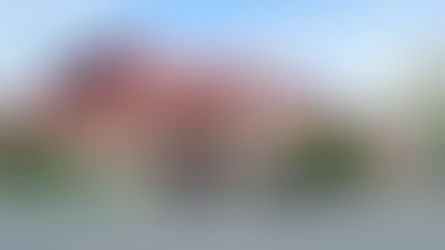 No Mercado Central, um bar inusitado: sem caixa registradora e sem mesas