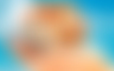 Netimóveis patrocina Oscar do mercado imobiliário