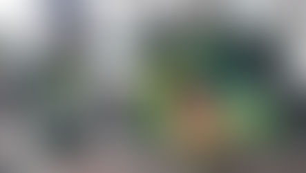 Cemig comemora o Natal fazendo “nevar” em BH