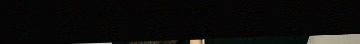 728x90.gif