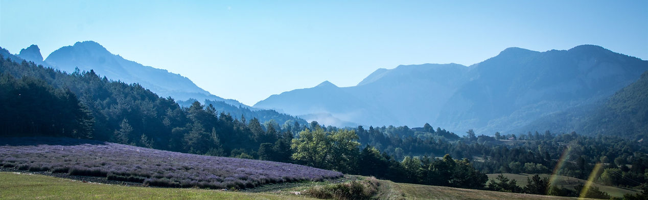 Randonnée avec des ânes dans le Vercors