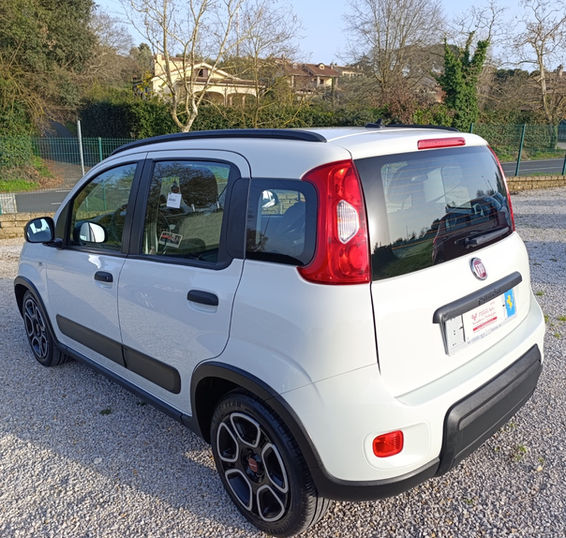 Panda ibrida usata Bracciano provincia di Roma Flamini Auto auto usate Lazio 00062