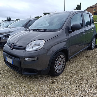 Fiat-panda-usata.jpg