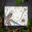 shamanic greeting card night owl