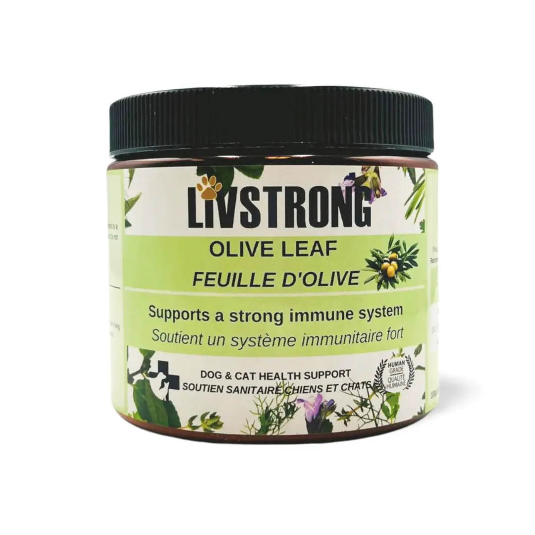 Livstrong - Feuille d’olive