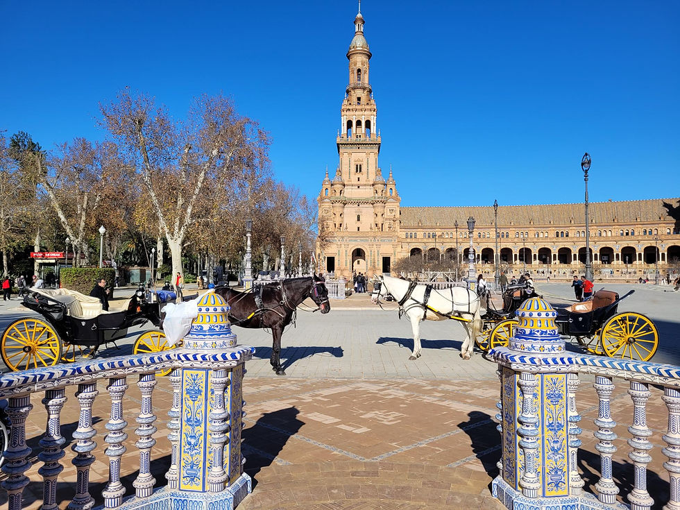 Horses at Plaza de Espana
