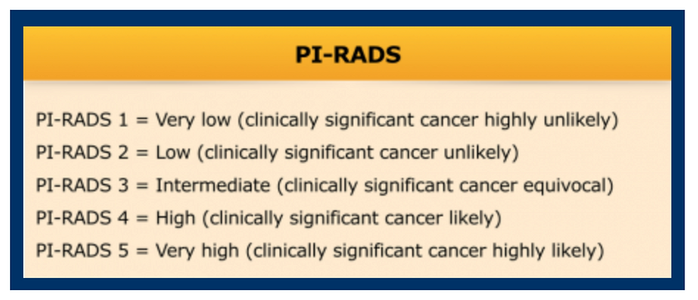 figure prostate 4.png