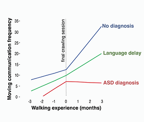 Website_ASD2.png