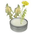 dandelion.png