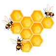 Beekeeping.png